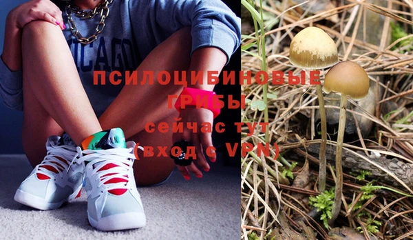 молекула духа Сафоново